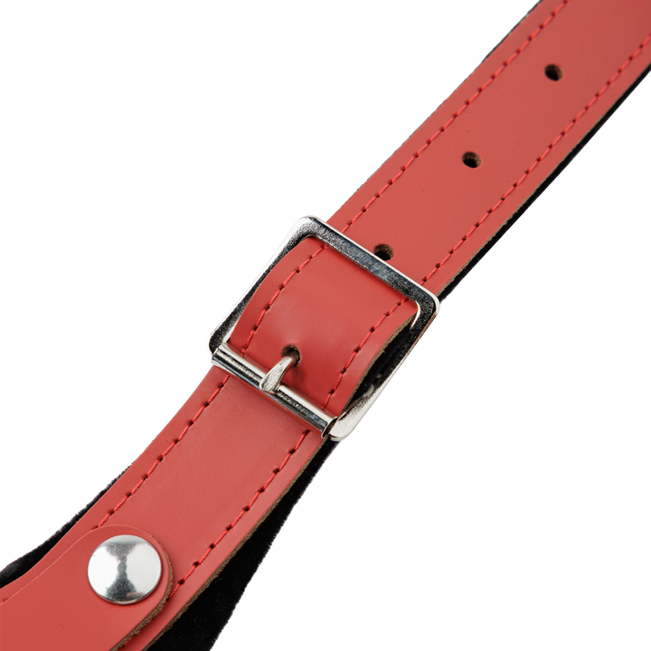 Levy's Deluxe Accordion Straps